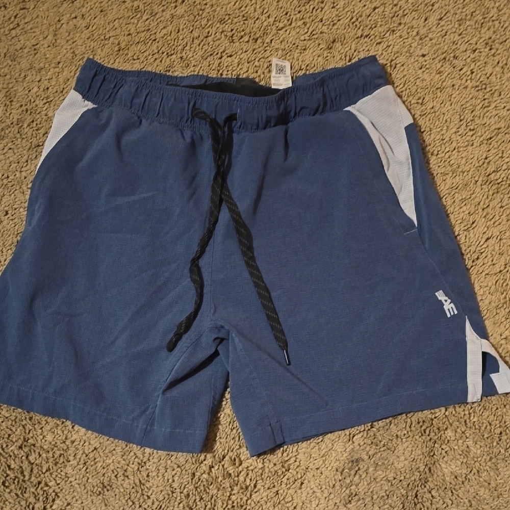 American Eagle Outfitters Blue and Black Lined Shorts